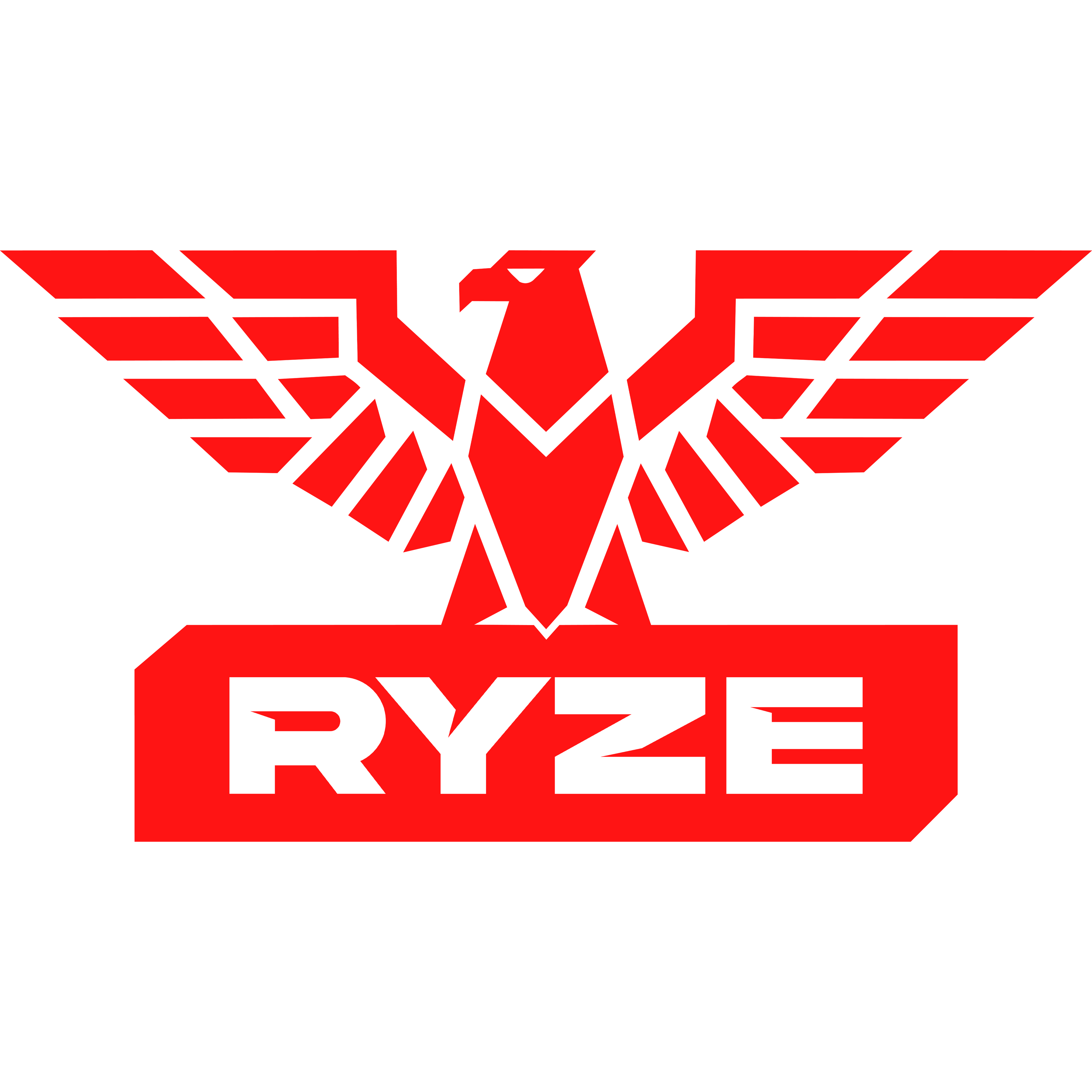 Ryze Store